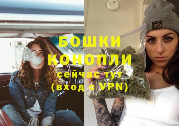 гидра Армянск