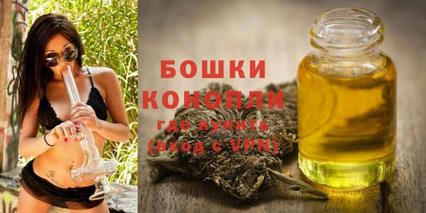прущая мука Арсеньев