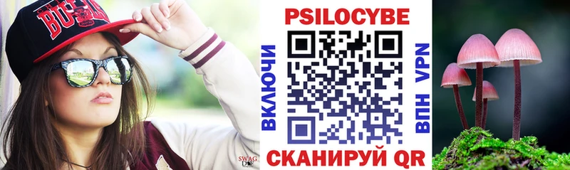 Галлюциногенные грибы Psilocybine cubensis  Кремёнки 